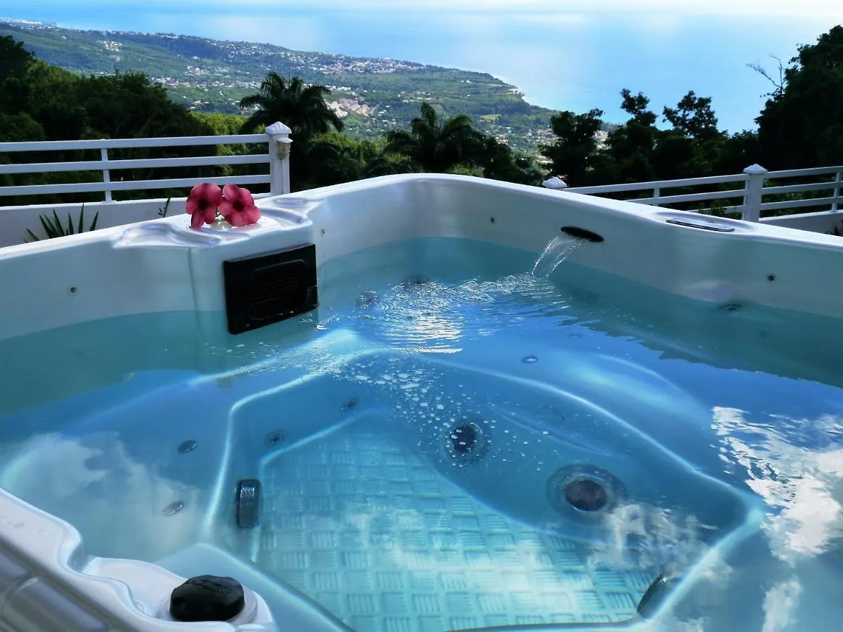 Holiday home Belavue & Spa Prive, Avec Vue Panoramique Sur Mer, Jardin Creole Paysager, Jacuzzi Prive Bouillante